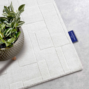 tapis salon , tapis ton sur ton moderne et contemporain