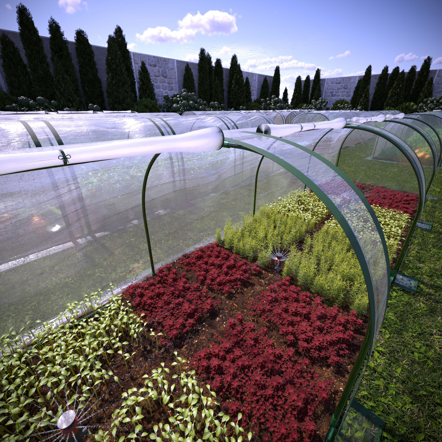 Serra A Tunnel in Acciaio Per Piante Fiori Orto Giardino Telo In PVC Trasparente Con 3 Porte Avvolgibili A Cerniera Protezione Piante 295x100x80 Cm