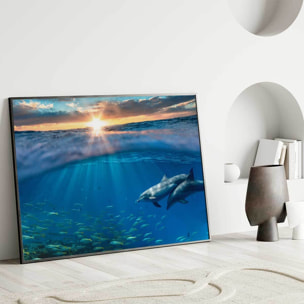 Affiche encadrée dauphins dans l’océan Affiche + cadre en métal - Noir