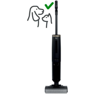Aspirateur laveur HOOVER HW3P10
