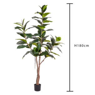 Ficus Rubber Con 65 Foglie. Altezza 180 Cm - Pezzi 1 - 35X180X35cm - Colore: Verde - Bianchi Dino - Piante Artificiali