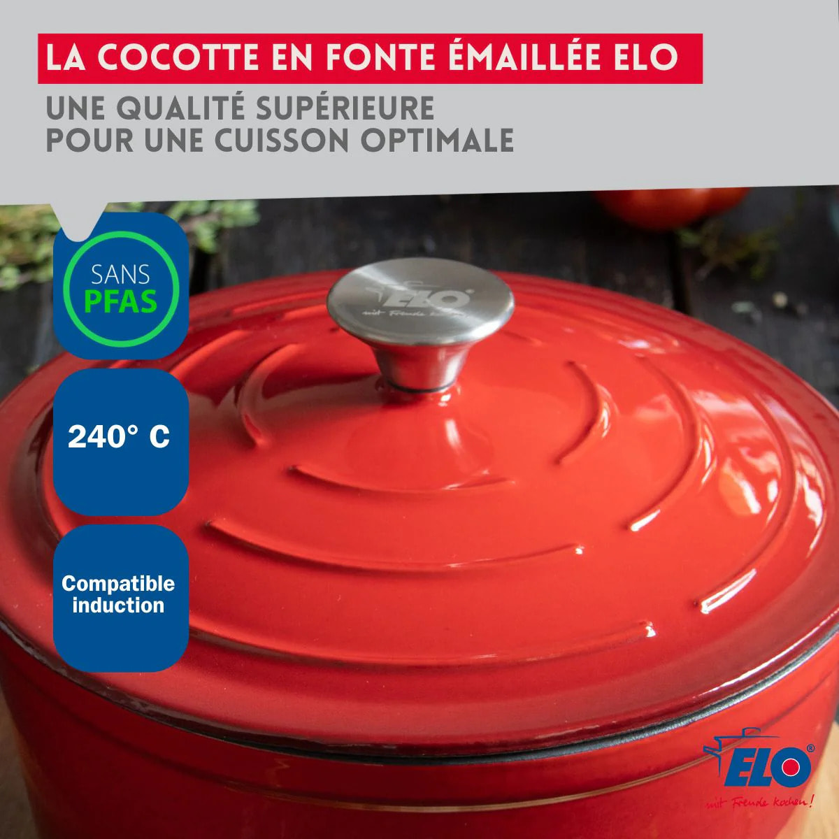 Cocotte en fonte émaillée basse 28 cm rouge cerise 3L Elo