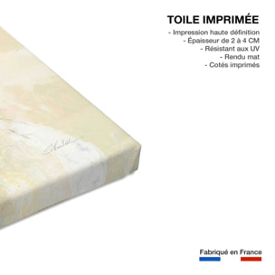 Tableau peinture sur soie Toile imprimée