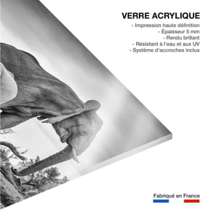 Tableau animaux bataille d'eau Tableau plexiglas