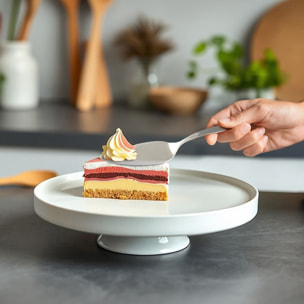 Jet Satinado - Juego de 13 piezas de postre