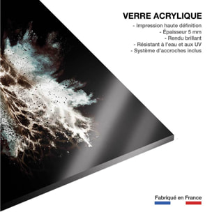 Tableau wild explosion girafe Tableau plexiglas