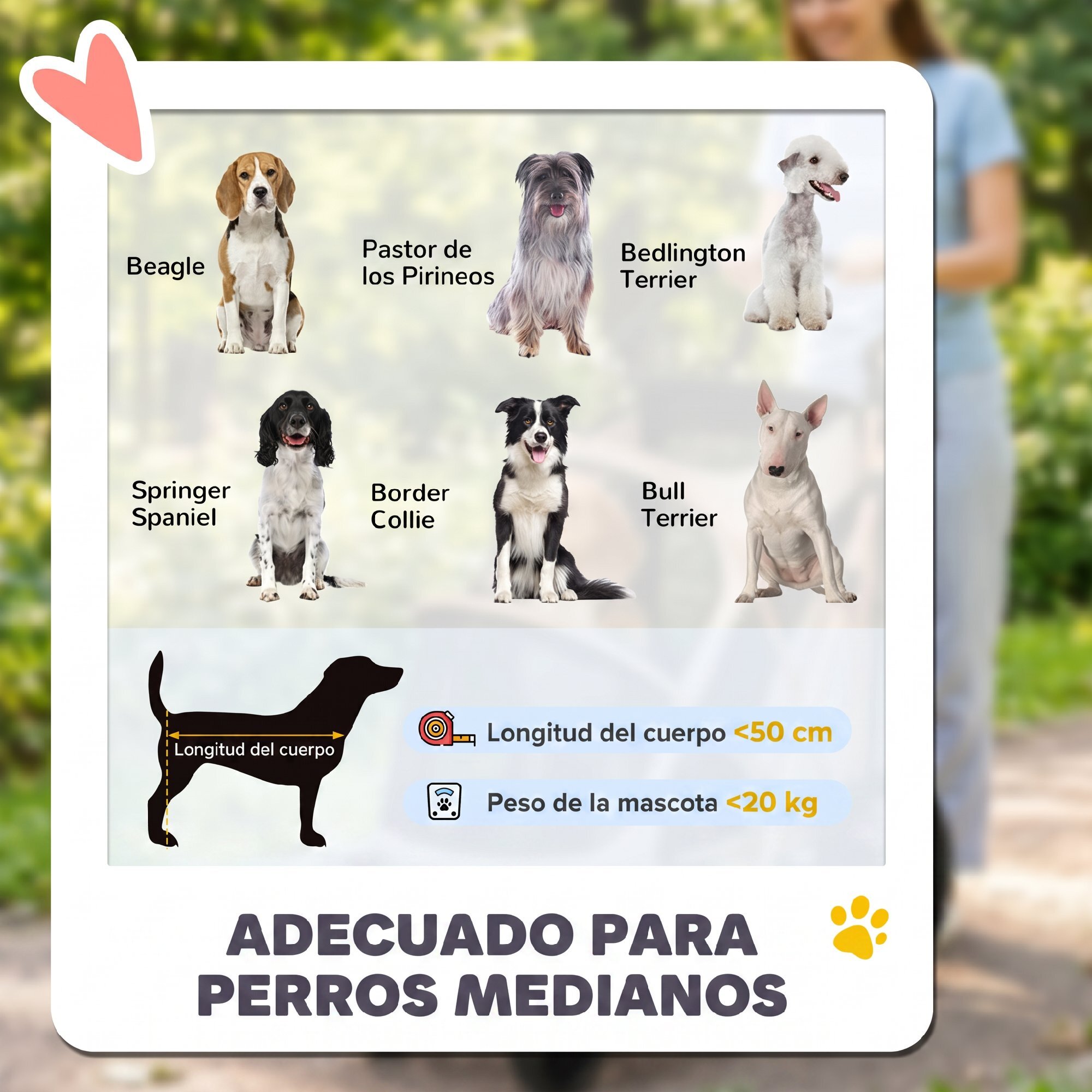 Carrito para Perros Plegable hasta 20 kg, Cochecito para Perros Medianos con Ruedas Grandes de Goma, Suspensión y Freno, Ventanas de Malla, Marco de Aluminio, Cojín, Correas, Marrón Claro