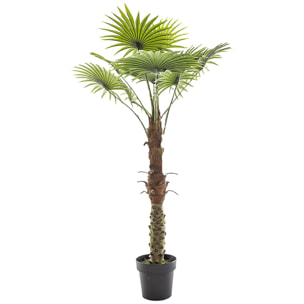 Planta decorativa Tronco de Palmera- Atmosphera