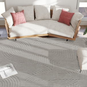 Alfombra Salón 230x160 cm Alfombra Pelo Corto Estilo Moderno Base Antideslizante Tejida a Máquina Tapete para Sala de Estar Dormitorio Comedor Gris