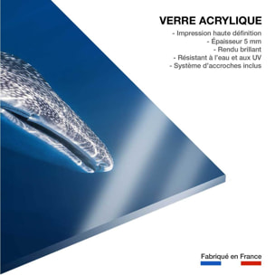 Tableau Requin baleine Tableau plexiglas