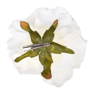 Rosa - Pezzi 24 - 15xH5x15cm - Bianchi Dino SpA