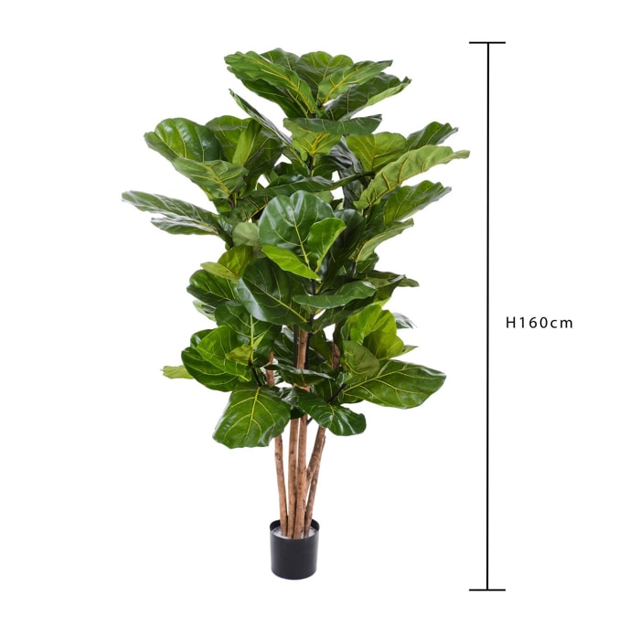 Ficus Lyrata. Altezza 180 Cm - Pezzi 1 - 110X180X110cm - Colore: Verde - Bianchi Dino - Piante Artificiali