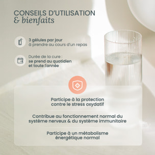 Nutri&Co Multivitamines et Minéraux 25 Nutriments pour l'Immunité - 90 gélules