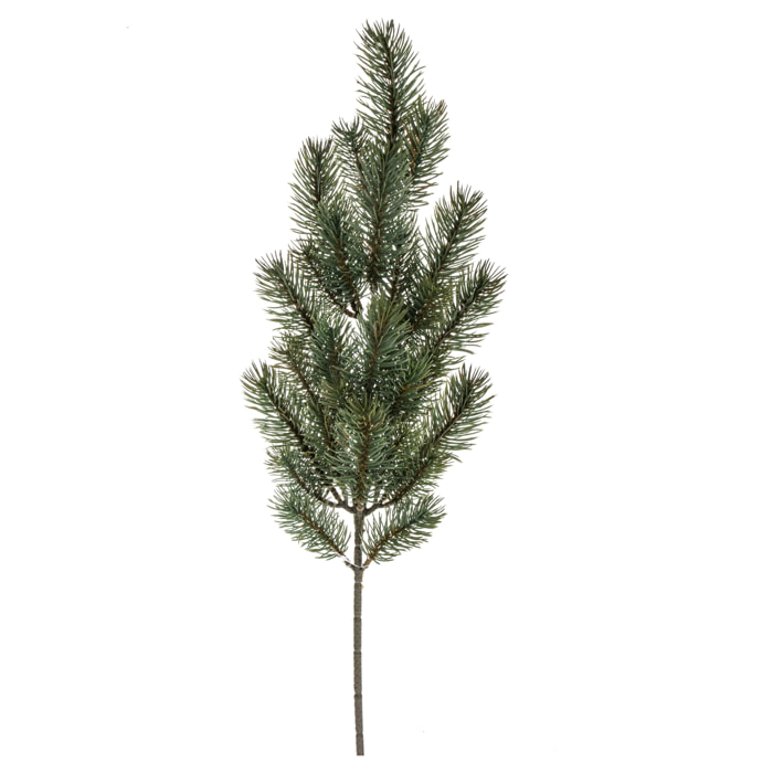 Abete ramo - Pezzi 12 - 18xH65x20cm - Bianchi Dino SpA