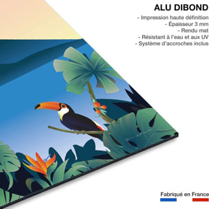 Tableau voyage Volcan du Costa Rico Tableau alu Dibond