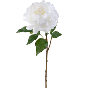 Peonia Gigante. Altezza 57 - Pezzi 6 - 20X57X18cm - Colore: Bianco - Bianchi Dino - Fiori Artificiali