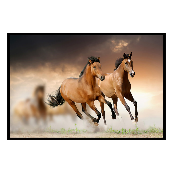 Affiche encadrée chevaux au galop Affiche + cadre en métal - Noir