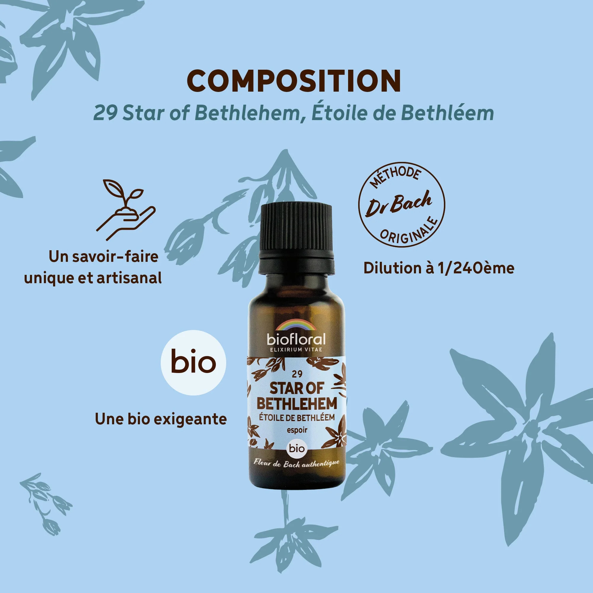 Biofloral - 29 Star of Bethlehem, Étoile de Bethléem - Bio - 19,5 gr