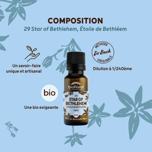 Biofloral - 29 Star of Bethlehem, Étoile de Bethléem - Bio - 19,5 gr