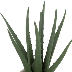 Planta de aloe en maceta natural h29cm