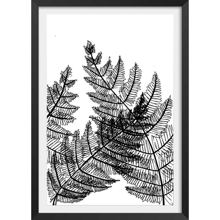 Poster landes fougères Affiche + cadre en bois - Noir