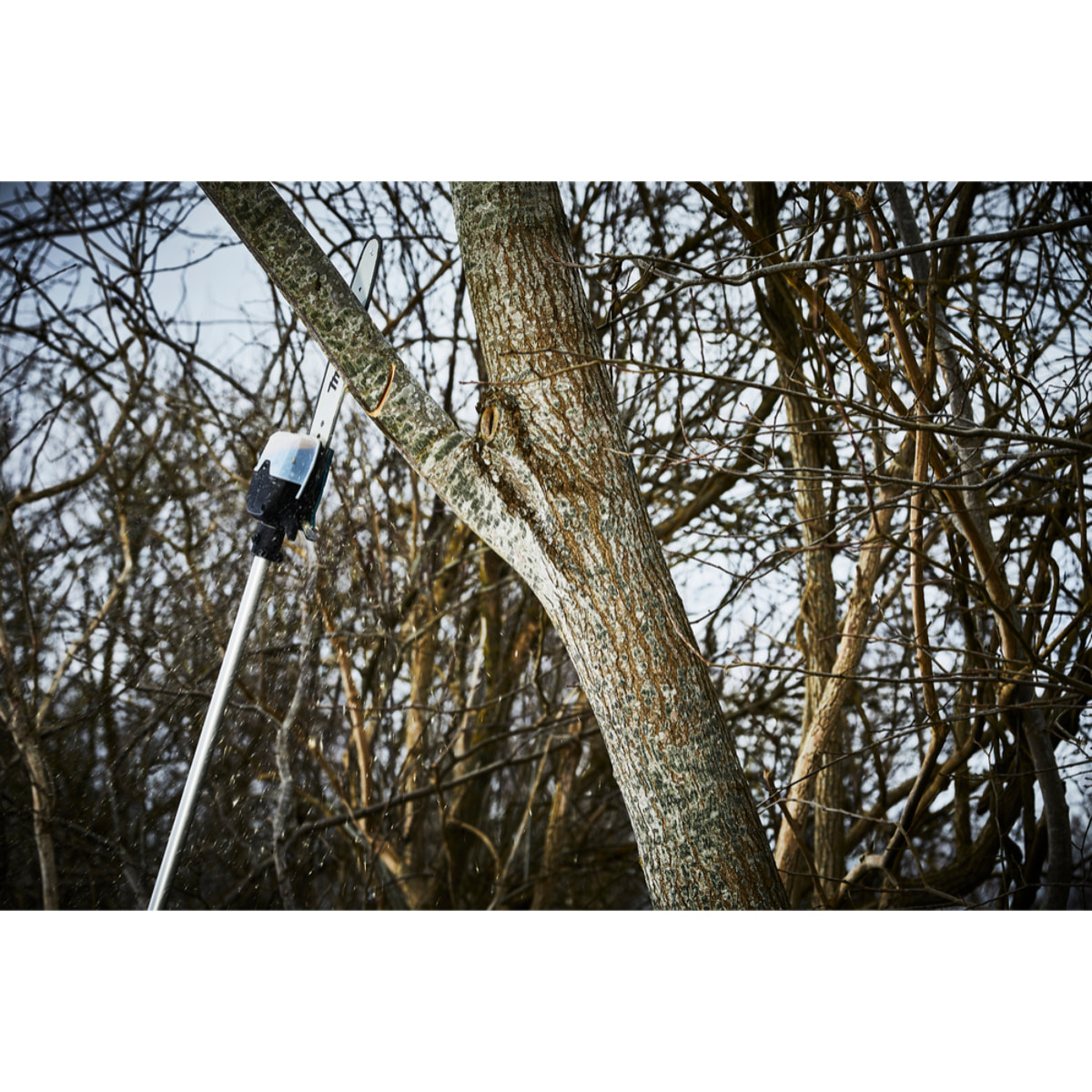 Podadora de pértiga MAKITA 18x2V sin batería - DUA300Z
