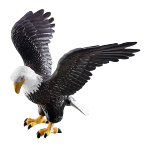 Mondo degli Uccelli/Aquila