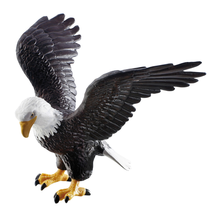 Mondo degli Uccelli/Aquila