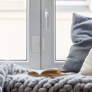 Kit de protection alarme connectée sans fil détecteurs mouvement/ouverture HomeSecure - Avidsen - 127055