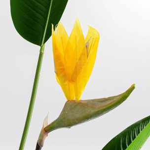 Plante décorative oiseau de paradis 190cm Kare Design