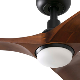 HEYWOOD S LED Ventilador de techo negro/madera oscura