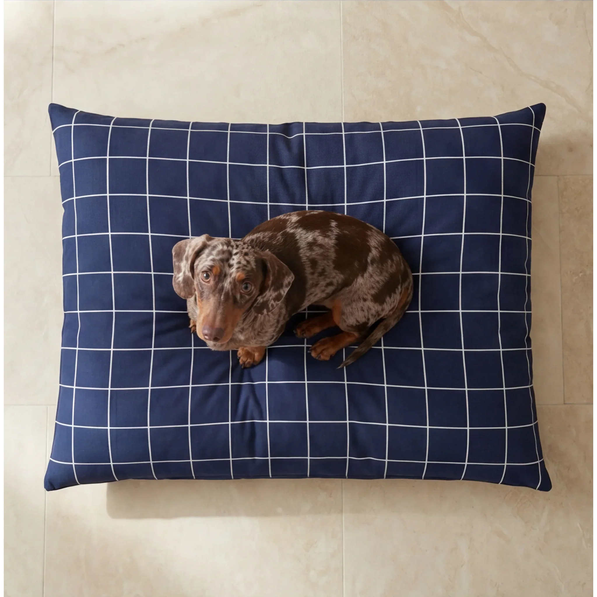 Housse antitaches pour lit pour animal Pumba Marine