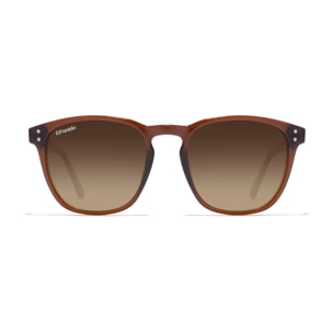 Gafas de Sol Ultra Light SQ High Brown / Grad Brown D.Franklin