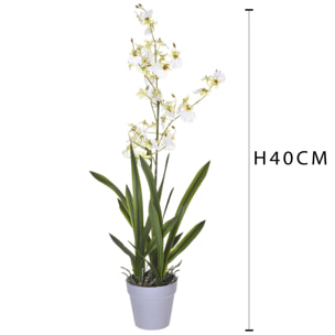 Orchidea Oncidium Con Vaso. Altezza 40 Cm - Pezzi 1 - 16X40X14cm - Colore: Bianco - Bianchi Dino - Piante Artificiali