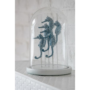 J-Line Cloche décorative Hippocampe - verre - blanc/bleu - large