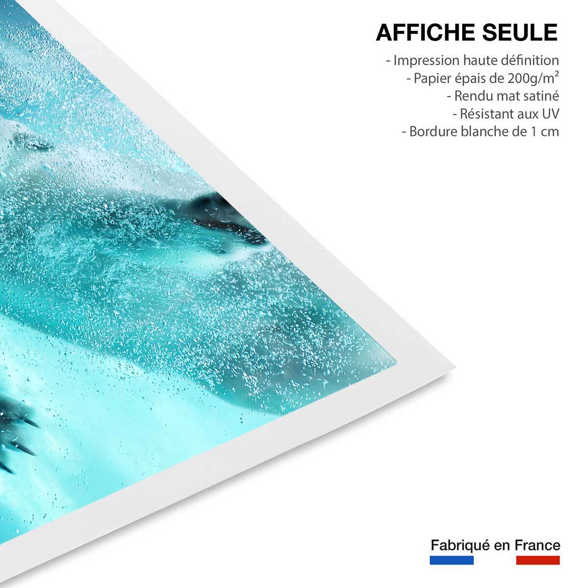 Affiche ours blanc en plein plongeon Affiche seule