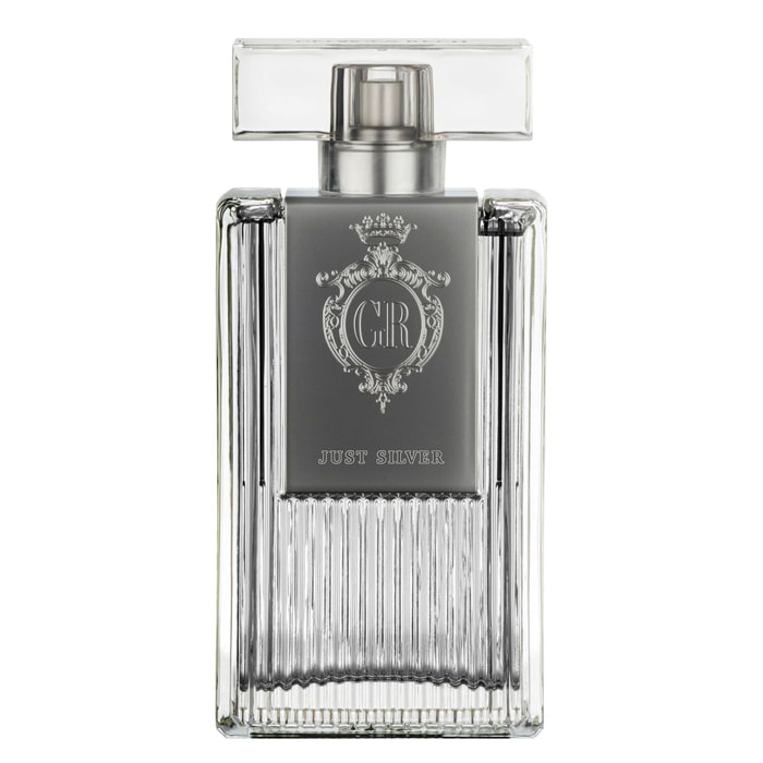 Just Silver - Eau De Toilette 100 ml