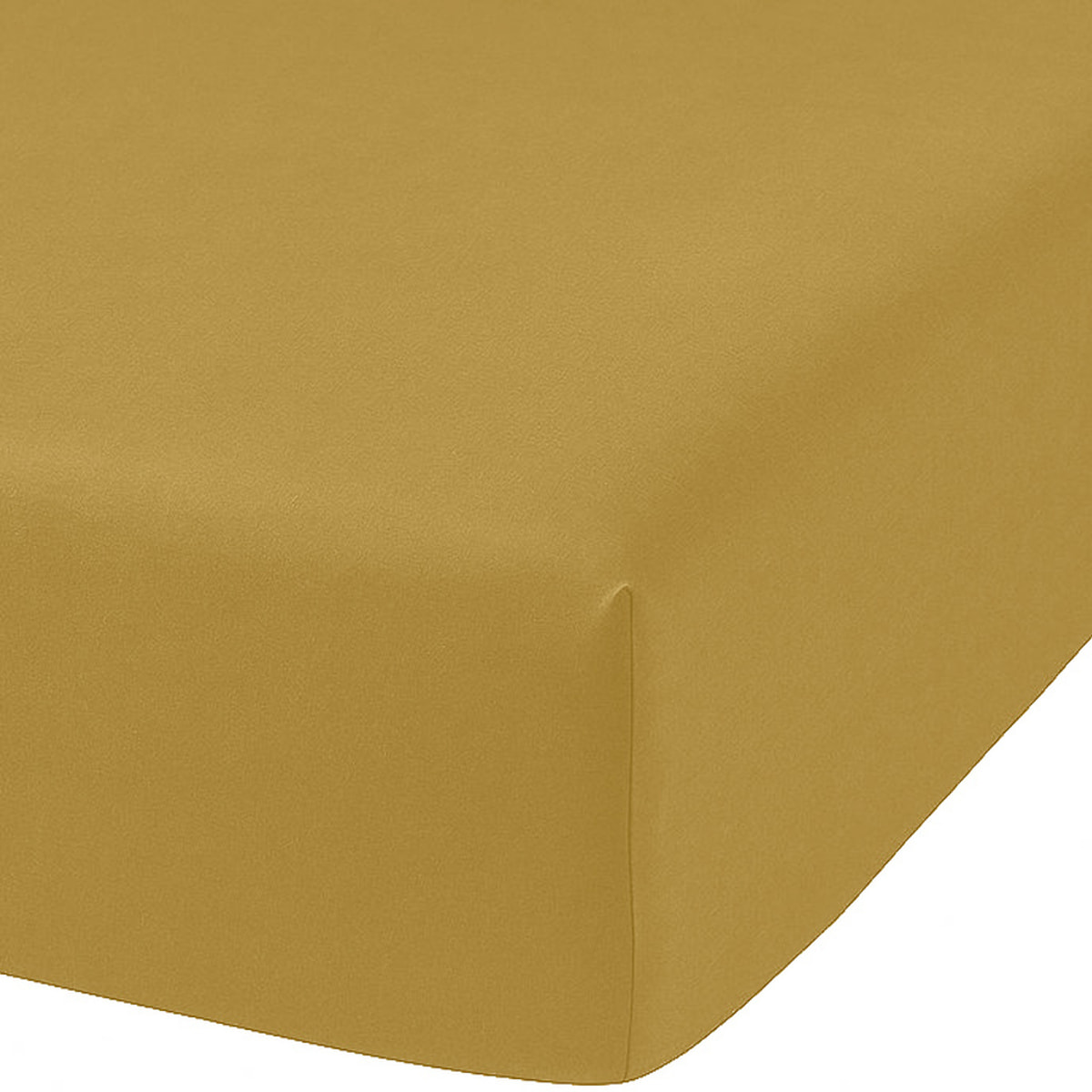 Drap Housse Coton 57fils Uni - Bonnet 35cm Gold