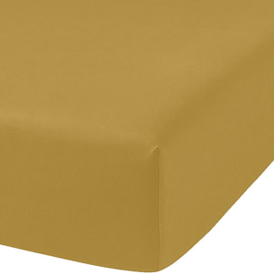 Drap Housse Coton 57fils Uni - Bonnet 35cm Gold
