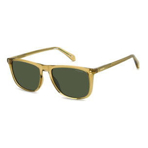 Gafas de Sol Polaroid PLD 4202/S/X 10A Polarizadas de Acetato Hombre 55 mm