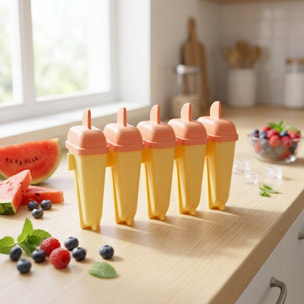Lot de 5 moules pour glaces à l'eau maison Fackelmann Summer Party
