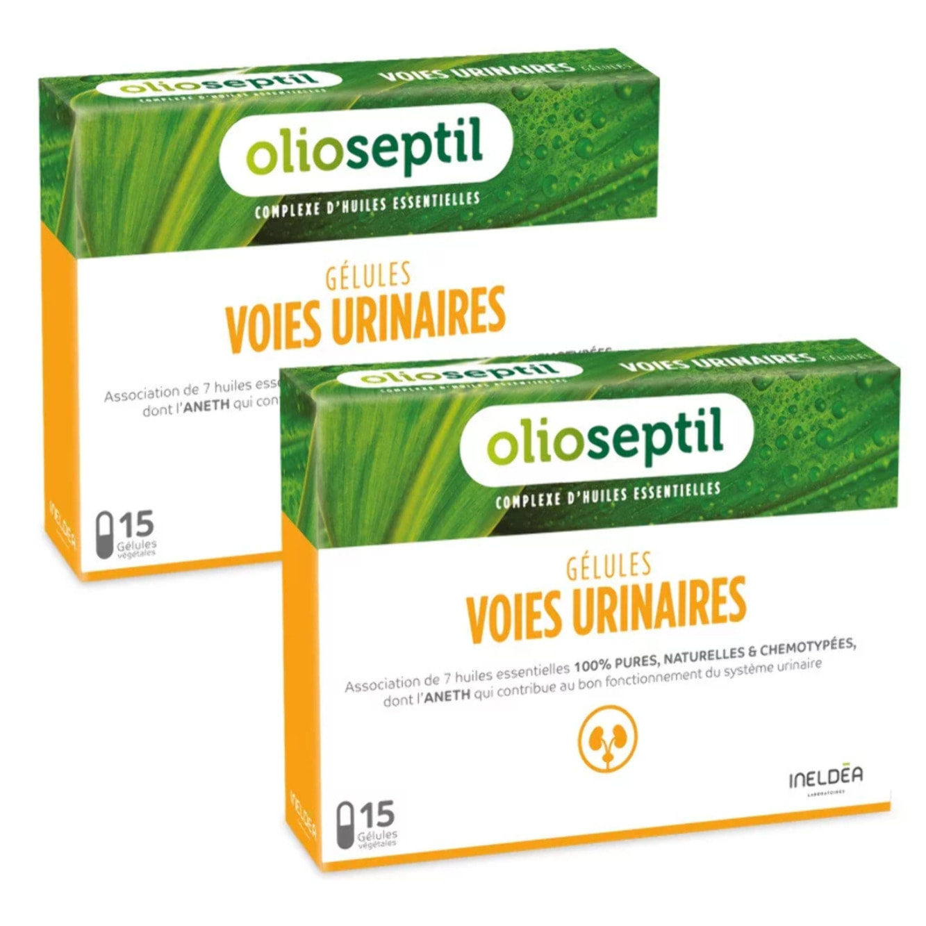 OLIOSEPTIL - Gélules Voies Urinaires - Assainit le système Urinaire & Favorise l'élimination rénale de l'eau - Complexe de 7 Huiles Essentielles Pures et Chémotypées - Gélules Végétales - Lot de 2