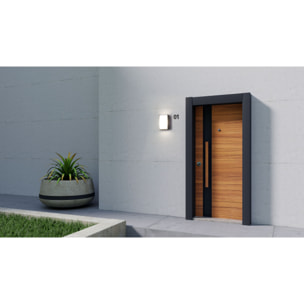 FORLIGHT Block - Aplique de Pared Exterior LED Luz Neutra 4000K Moderno para Terraza y Jardín de Aluminio Gris Antracita