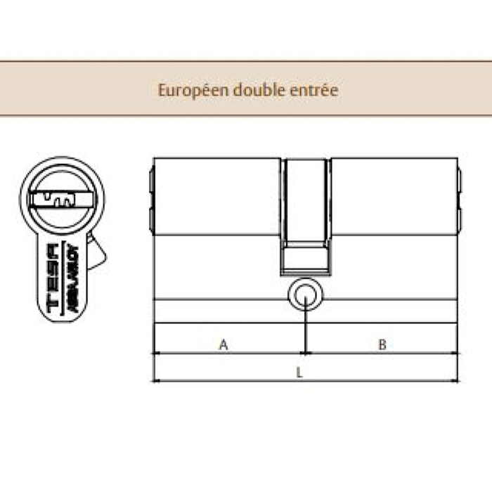 Cylindre TESA TX80 40x40mm VD nickelé - 5 clés anticrochetage - TX854040N