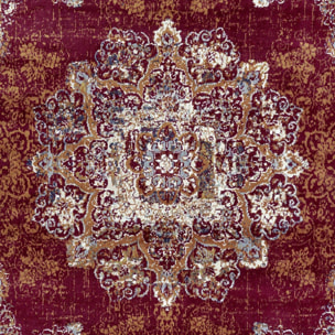 Tapis salon Rectangulaire Oriental