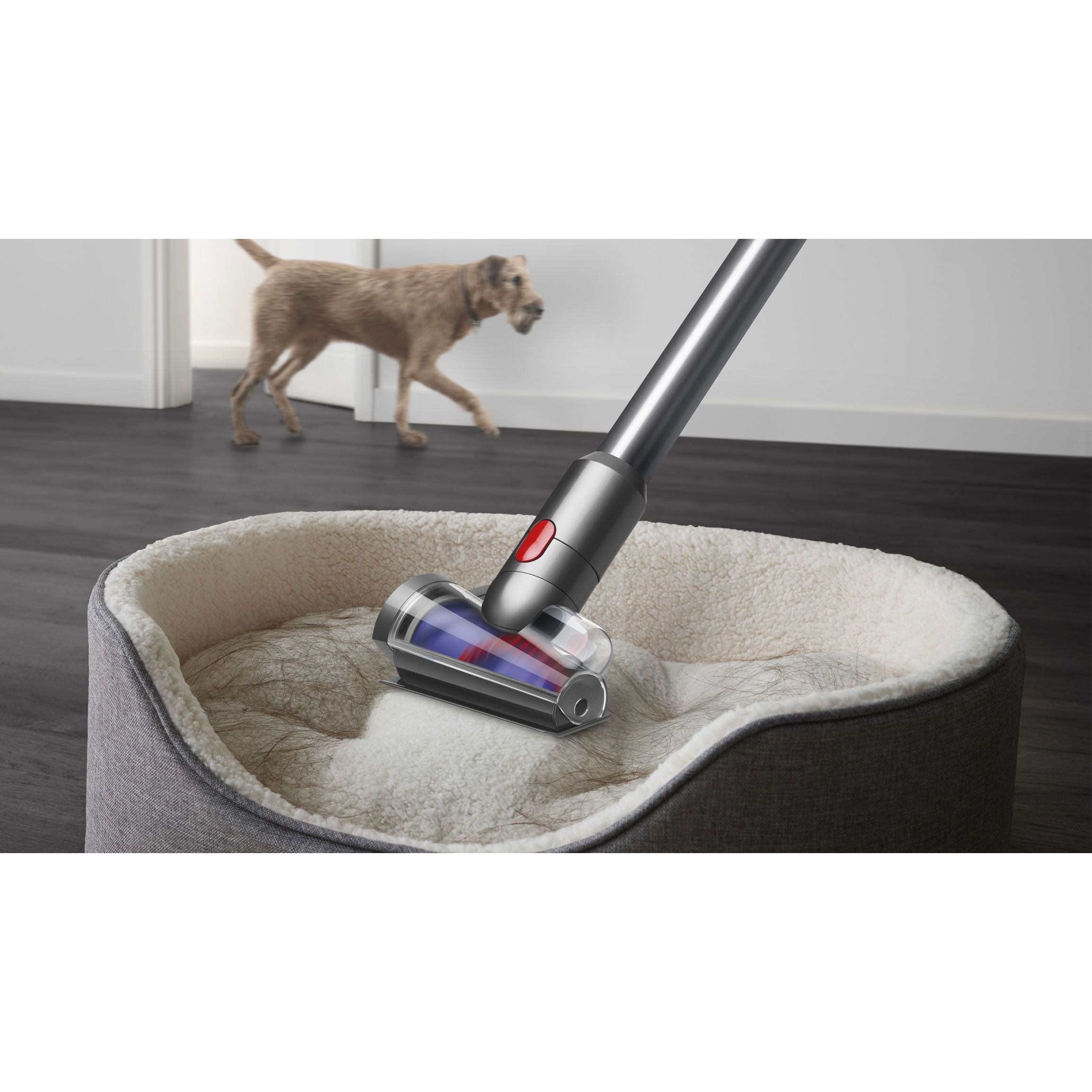 Aspirateur Balai Sans Fil Dyson V12™ Origin - Reconditionné