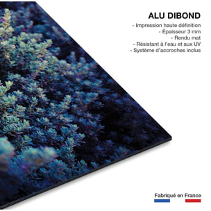 Tableau macro plante grasse collector Tableau alu Dibond