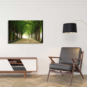 Tableau paysage Metasequoia Tableau alu Dibond