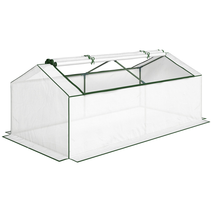 Mini serre de jardin à tomates 2 fenêtres enroulables 1,8L x 0,9l x 0,7H m blanc