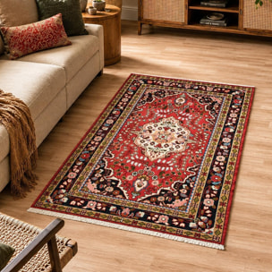 Tapis d'orient oriental, noué main en laine, EFILE
